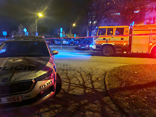 Mrtví v autě na Karvinsku byli bývalí partneři. Muž ženu zastřelil, pak i sebe