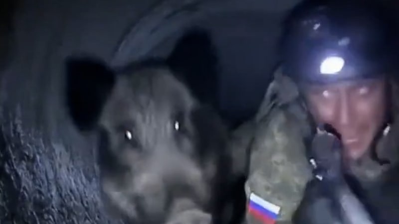 Momenty války: Odpálená kadibudka i divočák, který navštívil ruské vojáky v potrubí