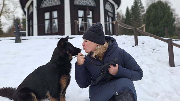 Pacienti lázní Karlova Studánka si oblíbili pobyty se psy, jde o unikátní projekt