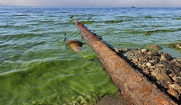 Výpusti kazí vodu v lipenské přehradě. Nejvíc u Frymburka, ukázaly odběry