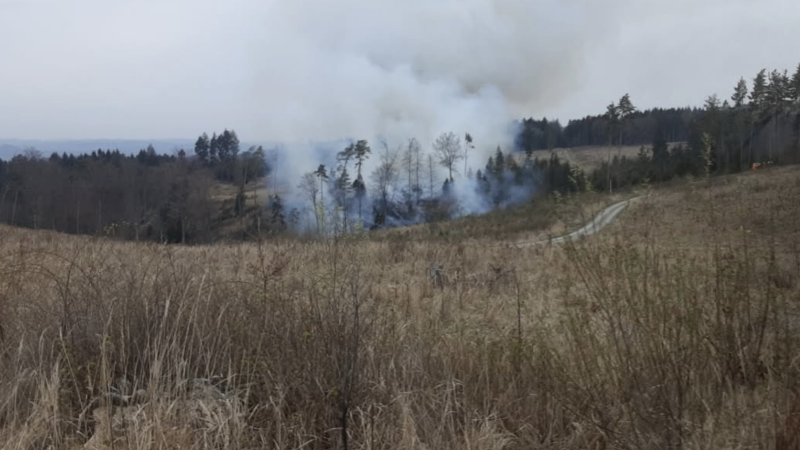 Požár mladého lesa na Blanensku: Zasahovalo 15 jednotek hasičů. Do akce musel i vrtulník