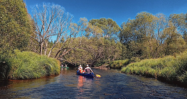 Bude v Teplé Vltavě dost vody? Splouvání také letos ohrožuje nízká hladina