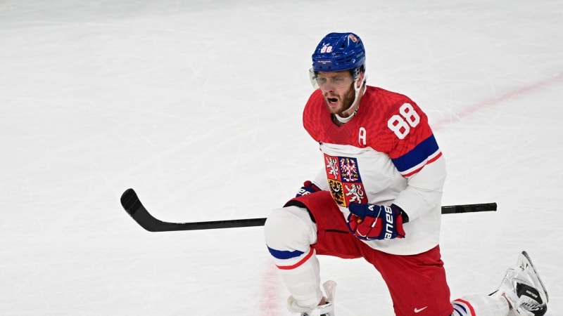MS v hokeji ON-LINE: Pastrňák se Zachou dohráli v NHL, posílí reprezentaci?