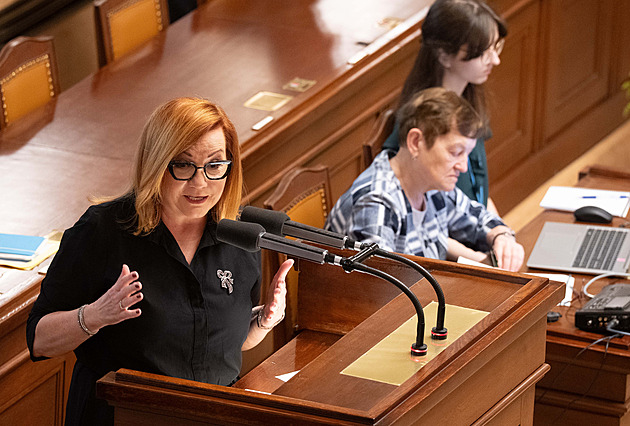 Vy nás chcete kritizovat za rozpočtovou odpovědnost? diví se Schillerová