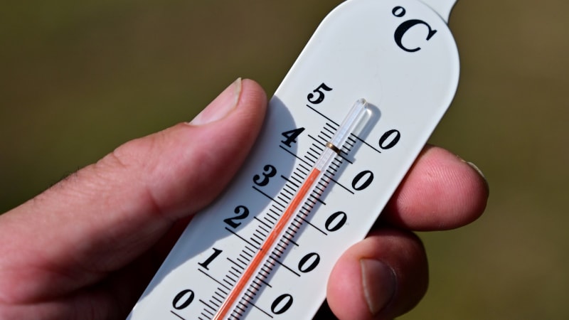 V Česku poprvé naměřili 41 °C. Padl sobotní rekord a teploty stoupají dál