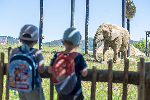 Nejvyhledávanějším místem kraje je Zoo Zlín, loni tam zavítalo 812 tisíc lidí