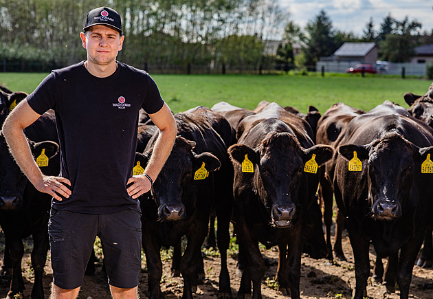 Začali se čtyřmi zárodky, dnes farmáři z Pardubicka chovají 180 kusů wagyu