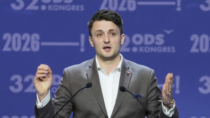 Slovák: Vedení ODS chybí trhač. Kupka problém není, měl by se ale zamyslet nad předsednictvem